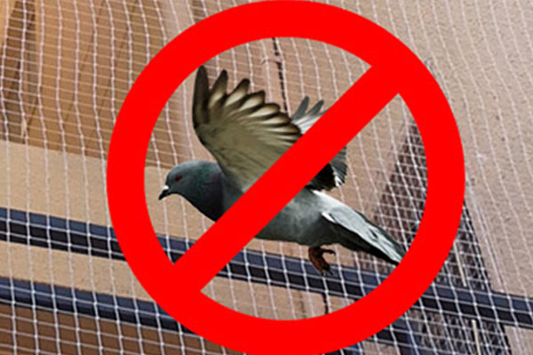 Pigeon Safety Nets in Kompally