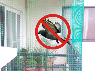 Pigeon Safety Nets